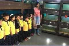 IMG-20220619-WA0035